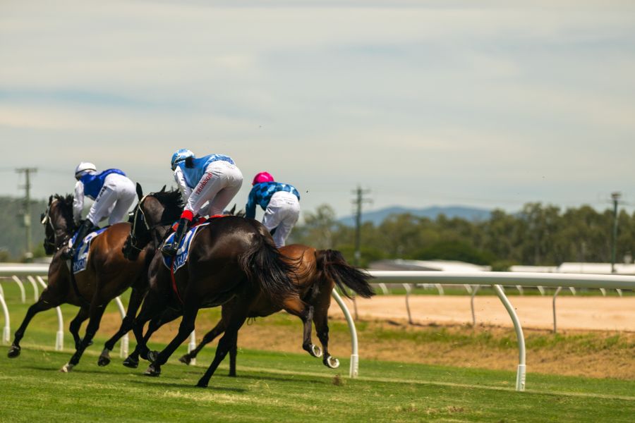 Attard and Ares Notch Up Another Cluden Winner