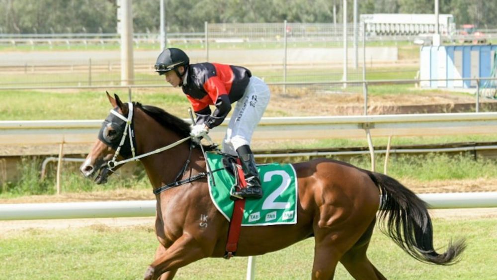 Central Queenslander Targets Townsville Amateurs Feature Glory