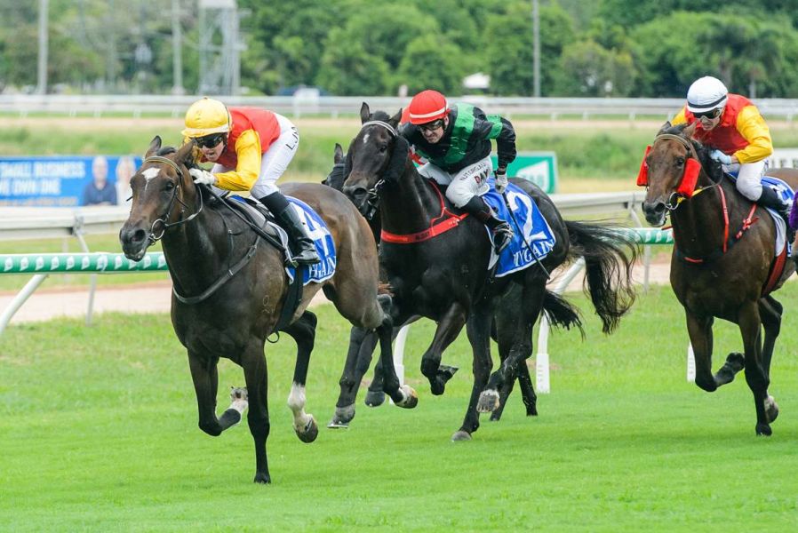Santa Dashes to Victory on End of Year Cluden Card