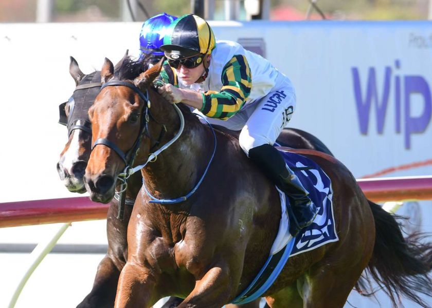 Weight Only Barrier for Ahwahneechee's Cluden Return