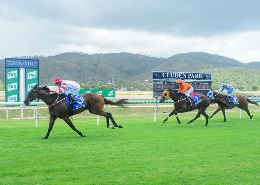 Brissie Next for Brilliant Bobby
