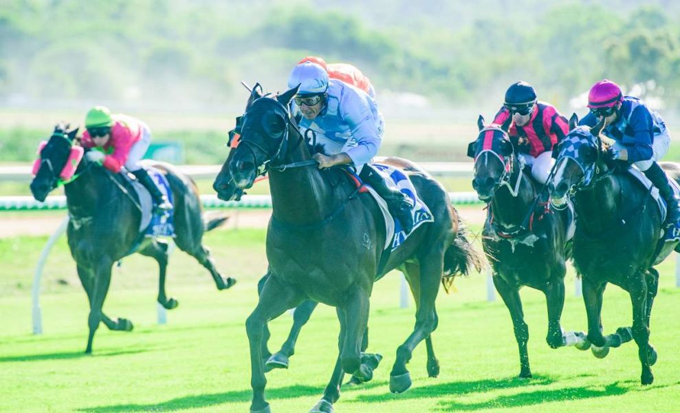 Cairns Cup Champ Tunes Up for Brissie Trip 