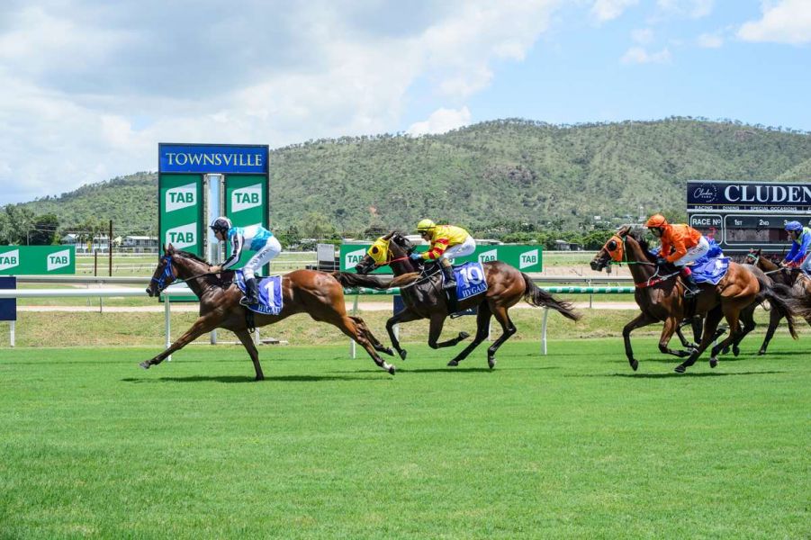 Sarah's Bargain Babies Aim Up For More Success