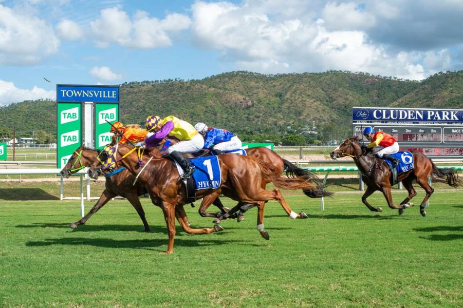 Lion-Hearted King Ready to Fire in Northern Jewel