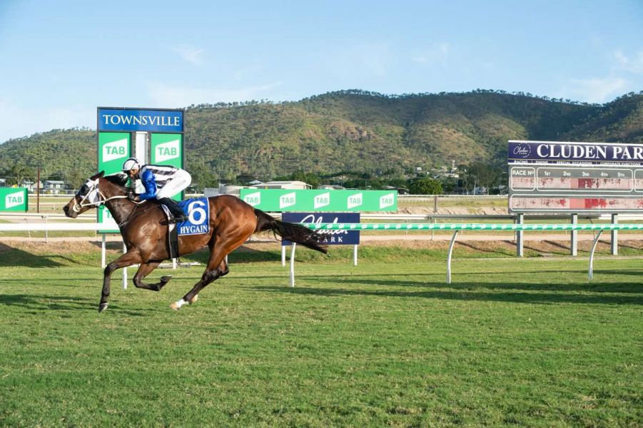 Cameron Dreams of Another Carnival Tilt with Stable Star