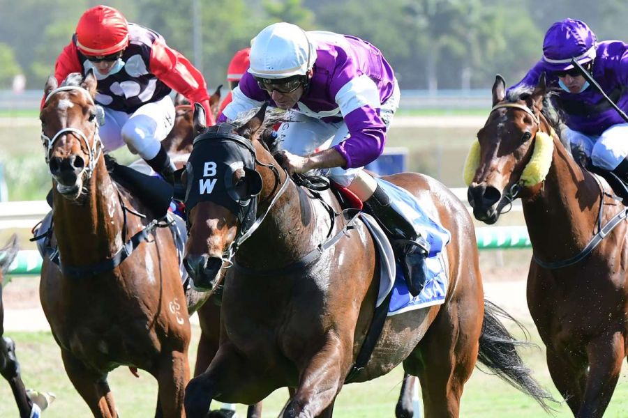 Molongle Back in Great Shape for Long-Awaited Lightning Bid