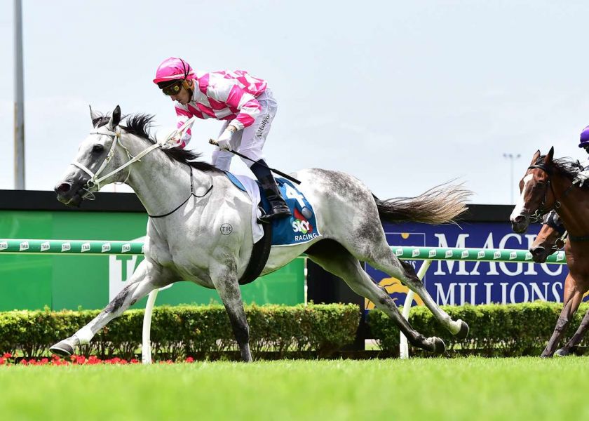 Hatch Has Wind in his Sayl for Cup Quest