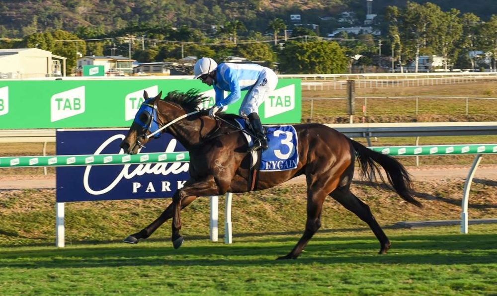 Jamie Primed for Master Class in Cleveland Bay