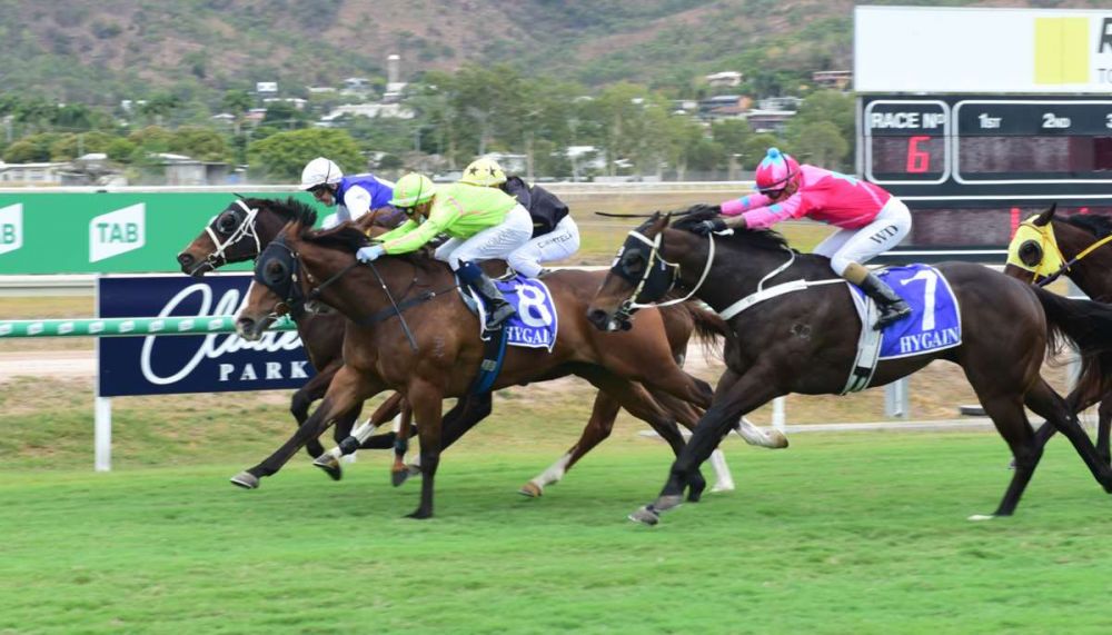 Old Marvel Defies the Odds to Chase Another Win on Cup Day