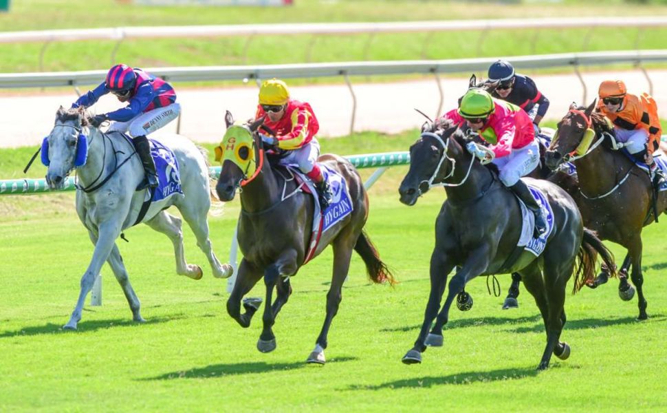 Teh Claims Double on Pair of Underdogs