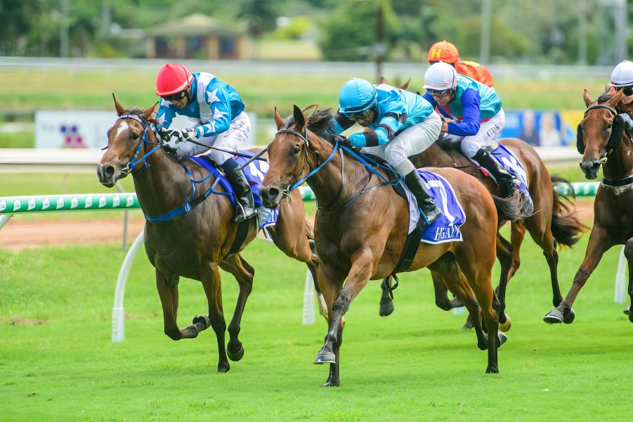 Hatch Stable Primed for First Big Day at Amateurs