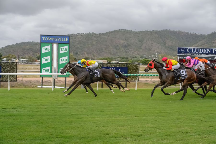 Star Sprinter Up For the Challenge in Magic Millions Feature