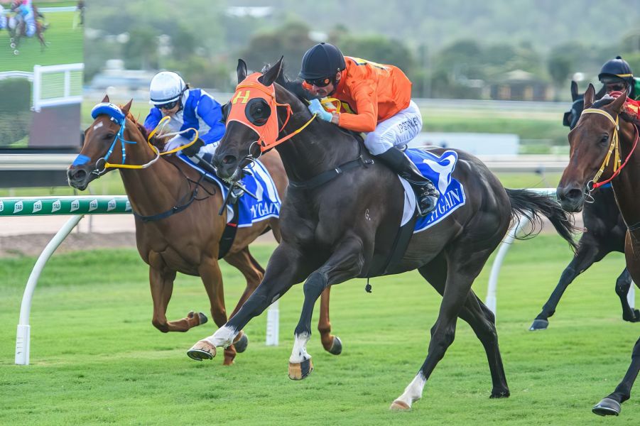 Rebel Looks Set for Bright Future 