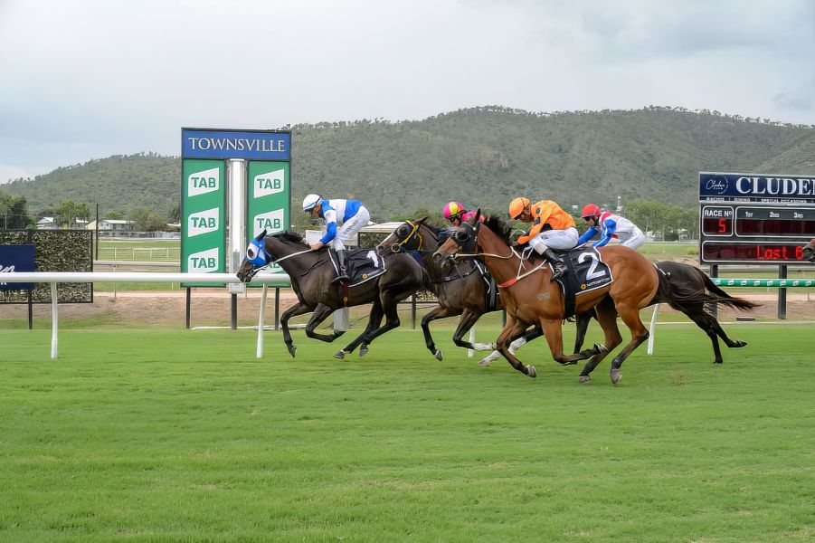 Picton Out to Continue Dream Start for Training Couple
