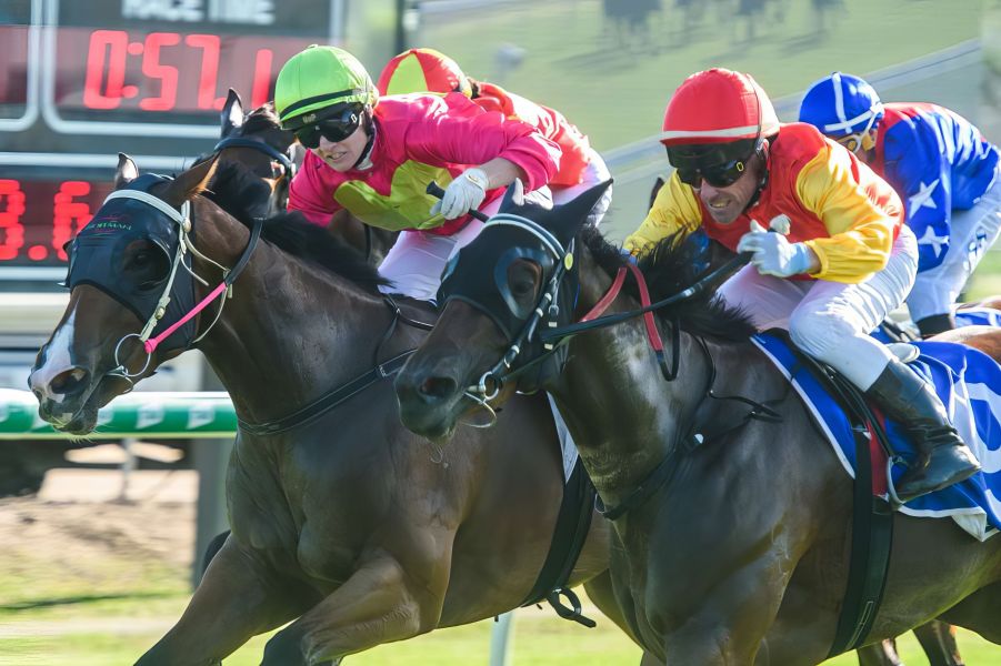 Wayward Filly Launches Late to Land Ryan Stable Double