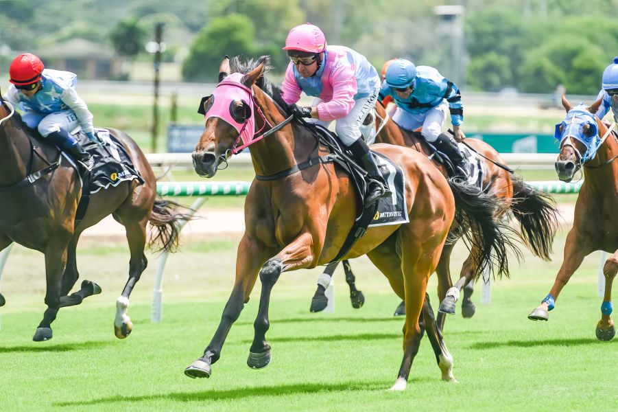 Homebred Gelding Adds a Bit of Magic for Roy