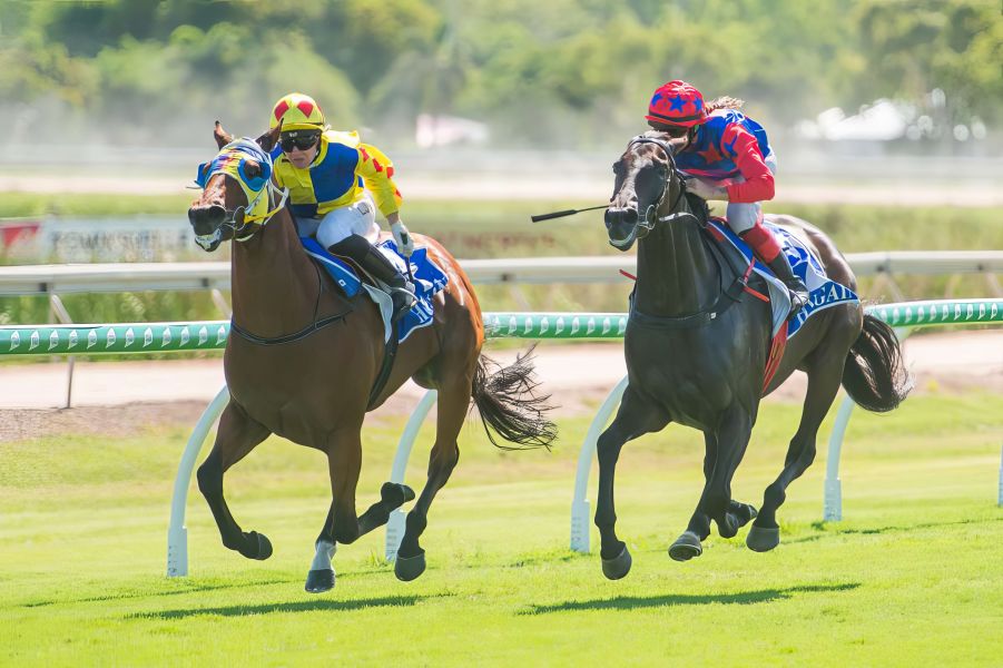 Image Humming for Cluden Return