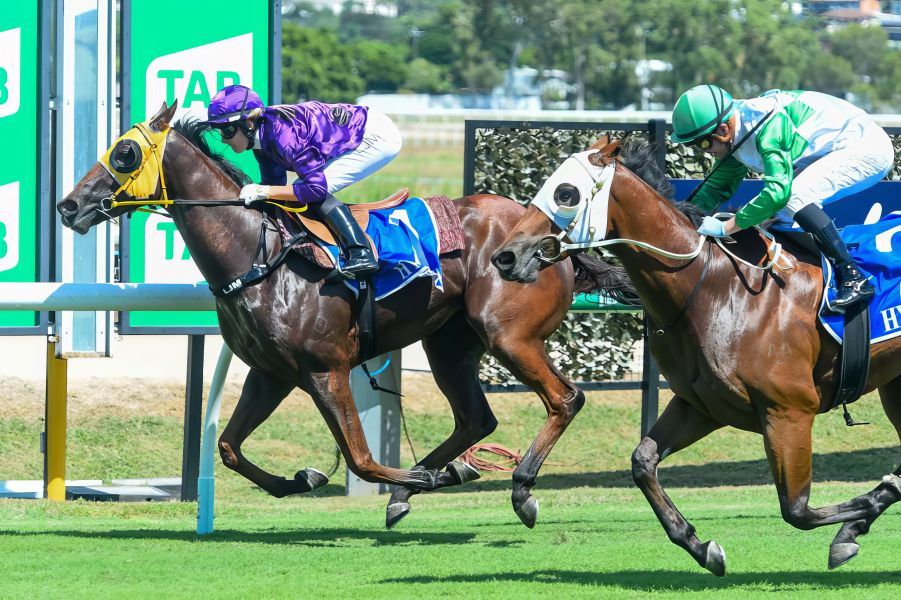 Boom 2YO All the Rage in Build Up to Classic