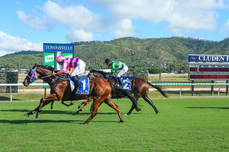 Carnival Count Down for Carford