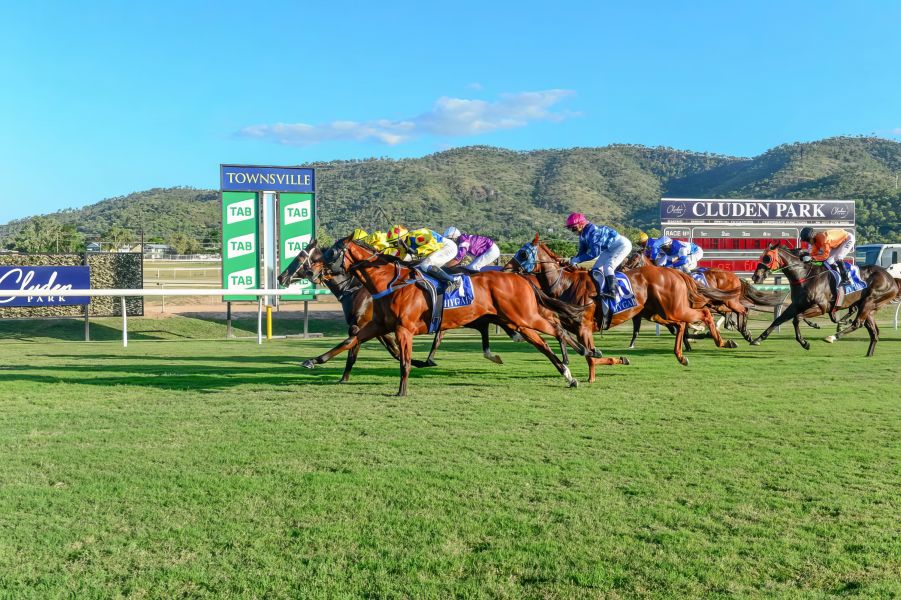 Dream Sprinter Tunes Up For Cleveland Bay Bid