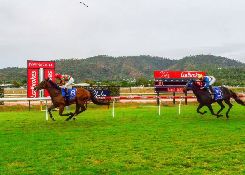 Guineas Hope Puts Spring in Gordy's Step