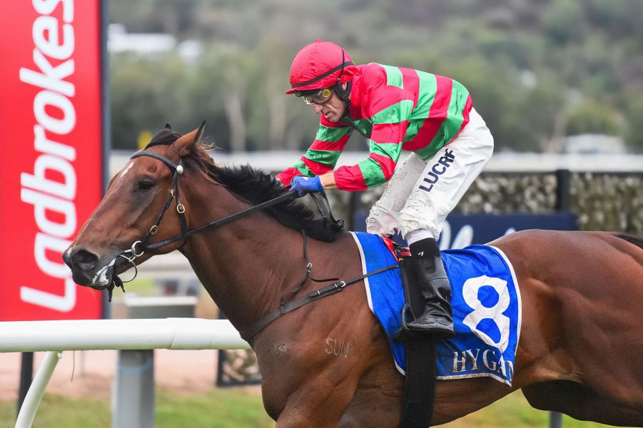 Rowe Duo Launch Big Team for Cluden Return