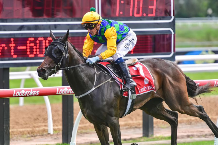 Bonny Mare Still Matas Two Decades On 