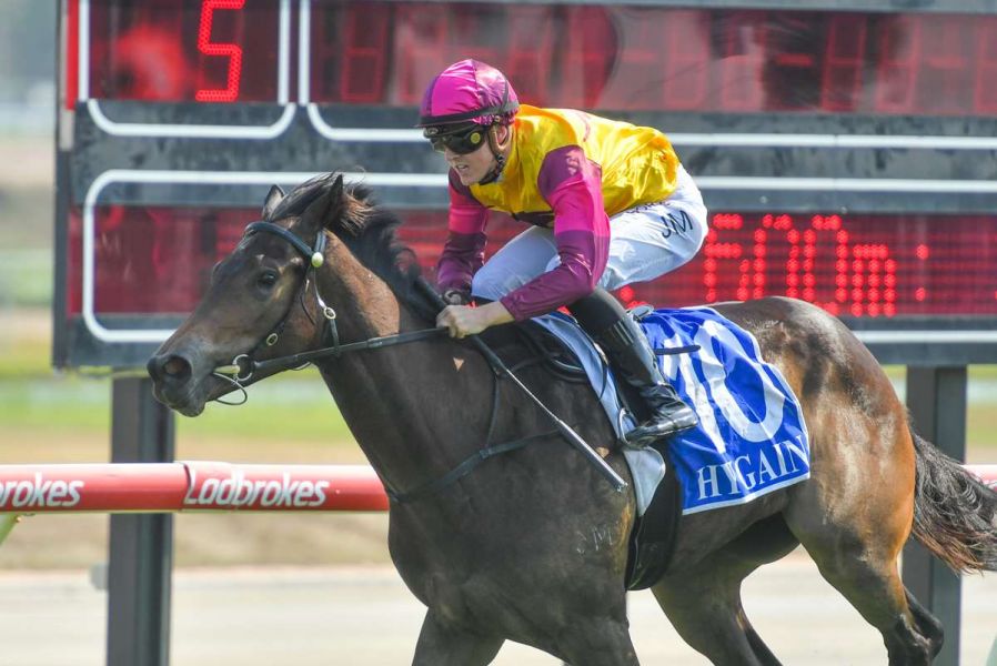 Holt targets Jewel riches with top trio