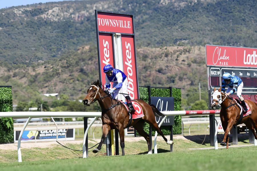 Peter Excited with Return of Stable Star