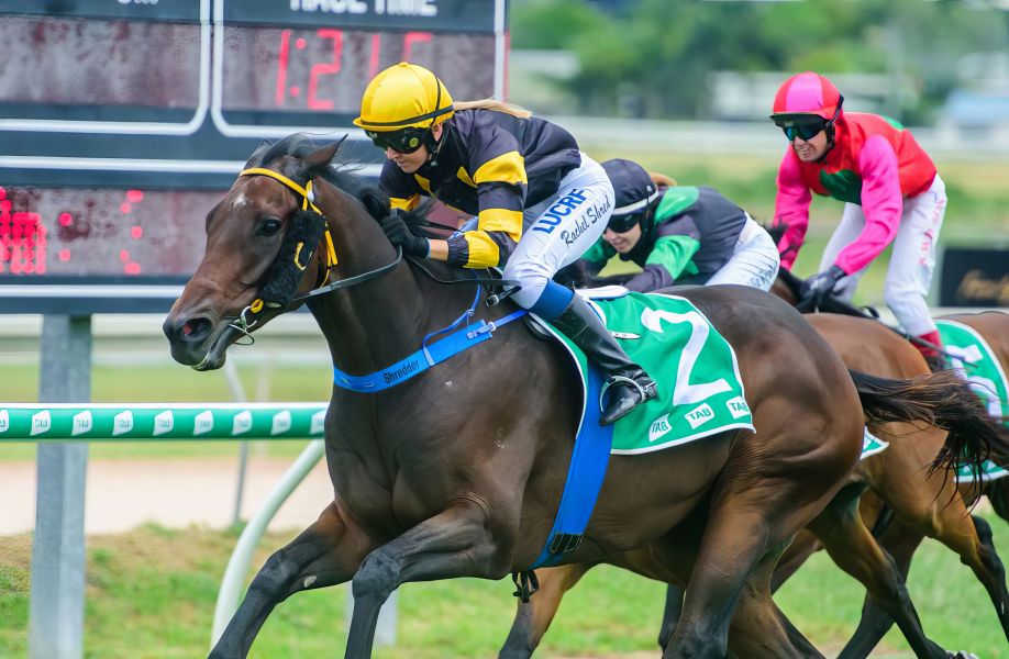 Cyclone Blows Mareeba Champ Back to the Track