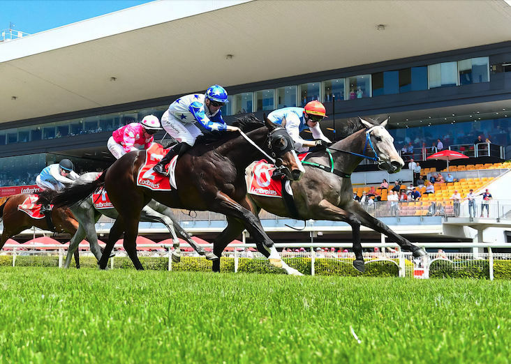Honcho Kicks Off Run to the Classic