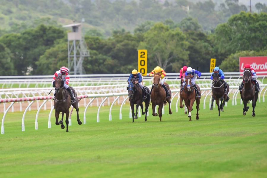 Ex Kiwi Thriving with Winning Streak