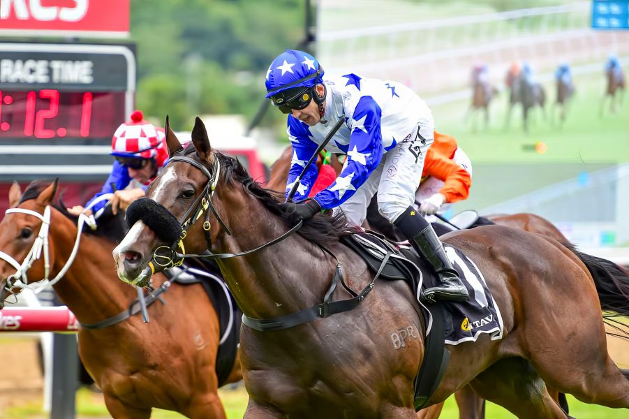 Final Classic Test for Errant Honcho