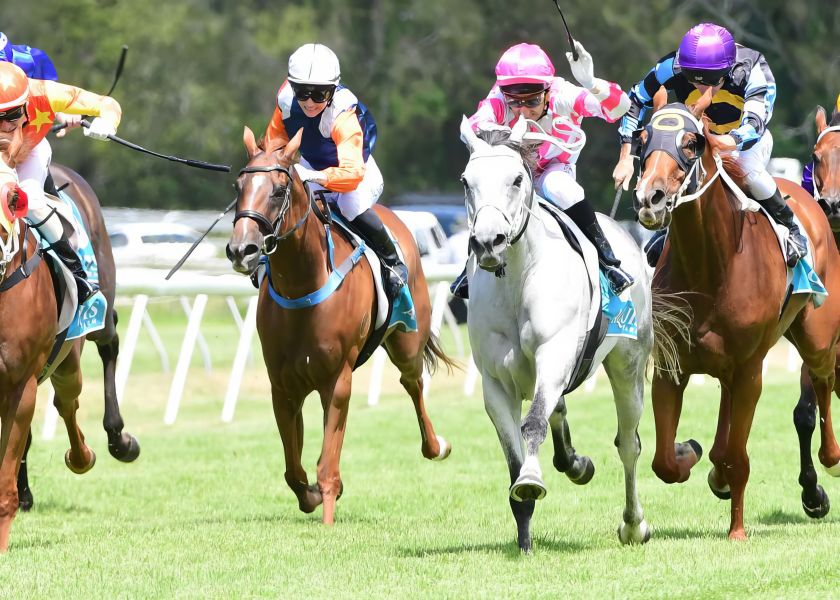 Sayl Back to Chase Swan Song Cup Win
