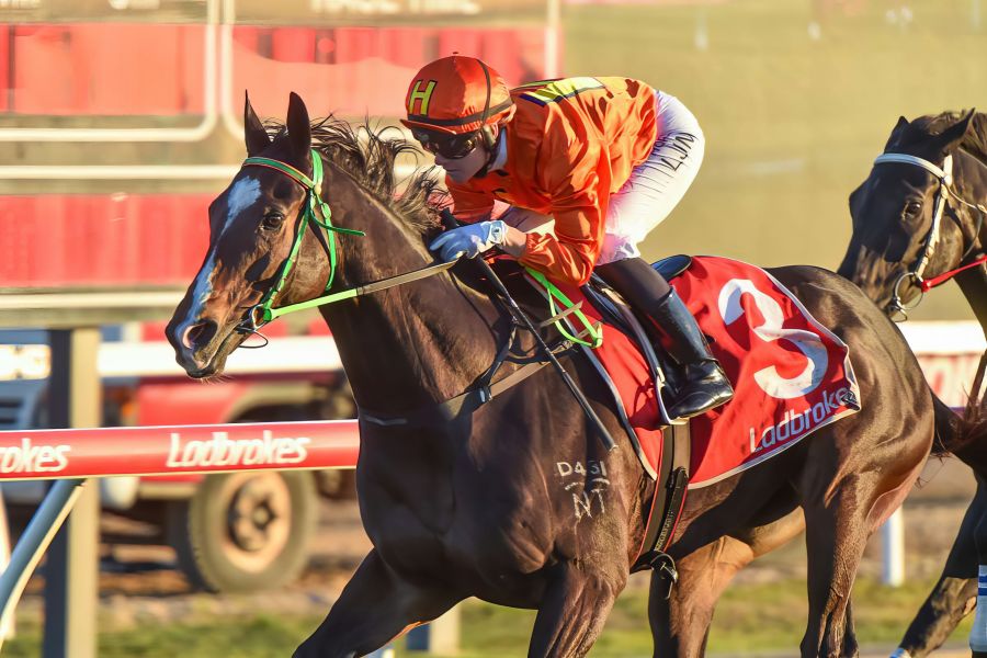 Legend and Lacey Claim NQ Cup