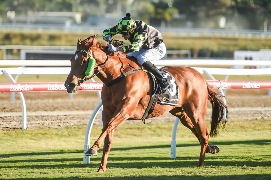 Jokic Banks on Jockey Change for Acrobatic