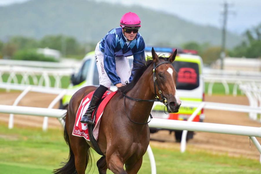Towers Trainer Targets Dollar with Untapped Witness