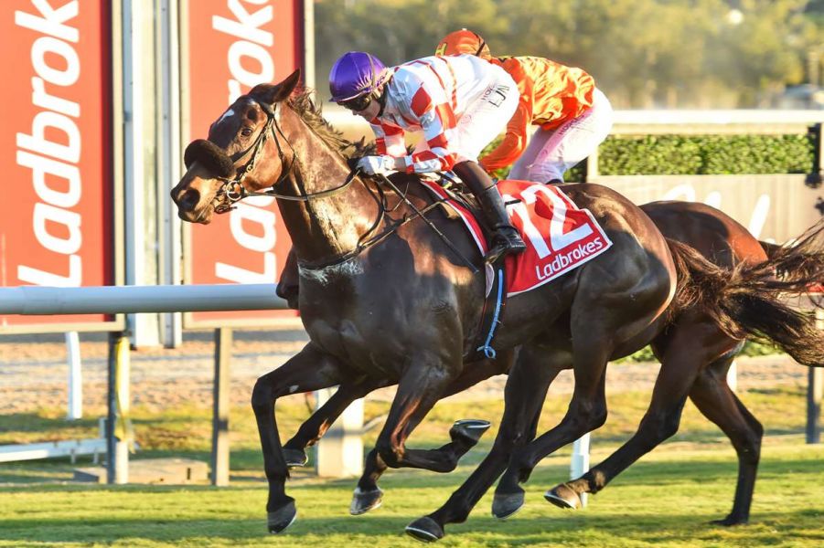 Button Wins Wild Card for Cleveland Bay with Promising Pride
