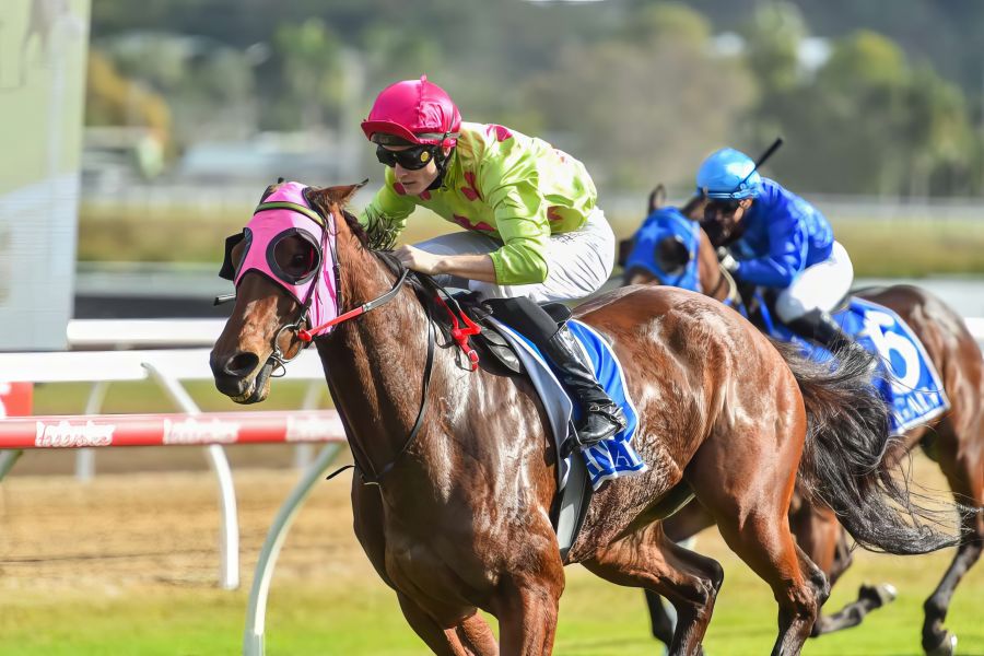 Spy a Cup Contender in Making After Belle Win