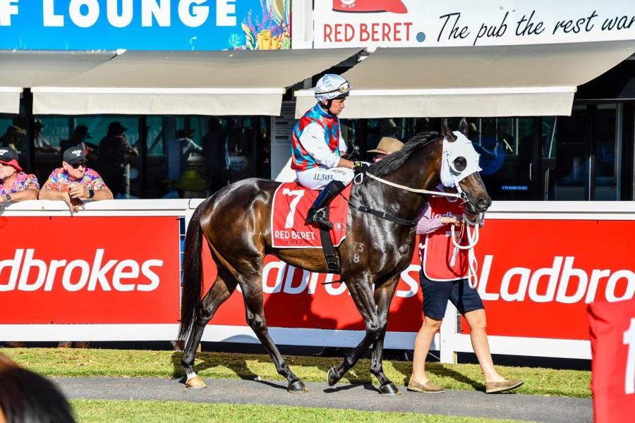 Megan Chases Return Win on Cup Day Program