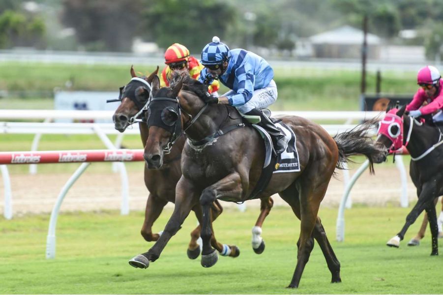Super Focused Stanley Surfing on Wave of Winners
