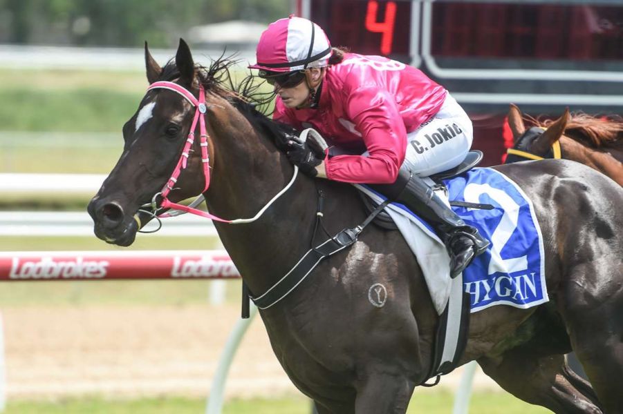 Chelsea Has Sights Set on Cracking 400 Winners