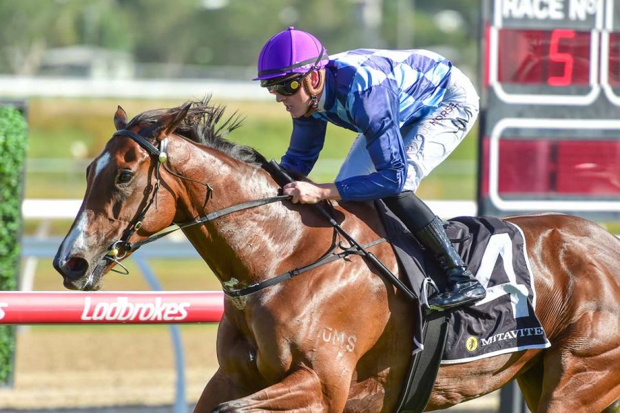 Top Stable Primed for Return to Racing