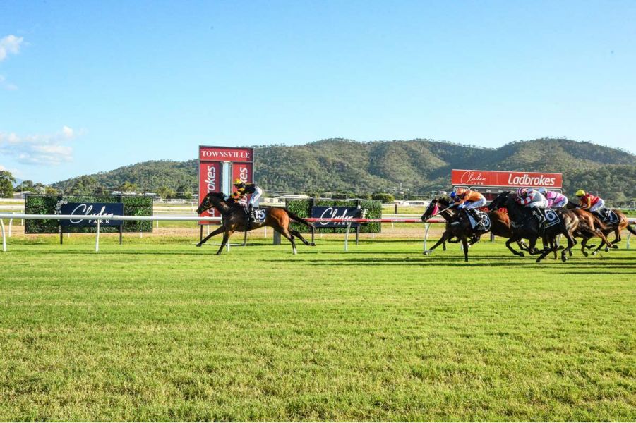 Smart Alex a Last Race Long Shot King