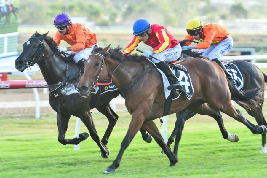 Mistaken Mare Shakes Off Mix Up to Make Her Mark 