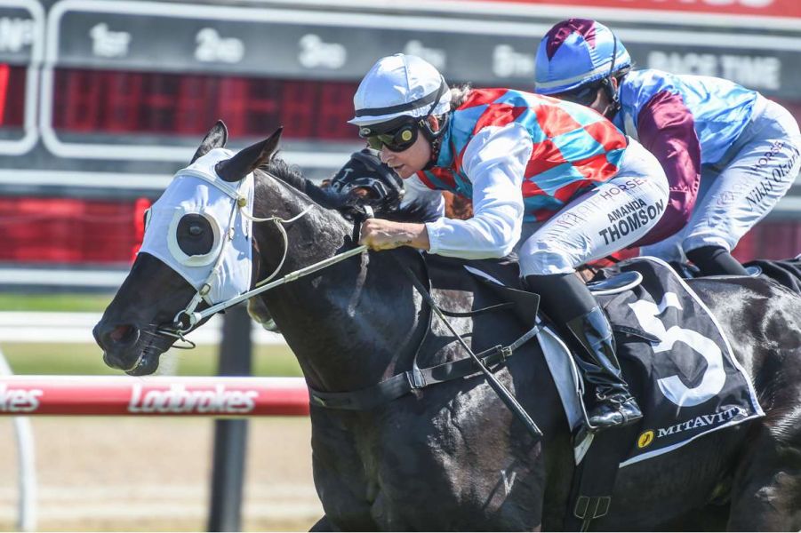 Winners Flowing for Rejuvenated Thomson  
