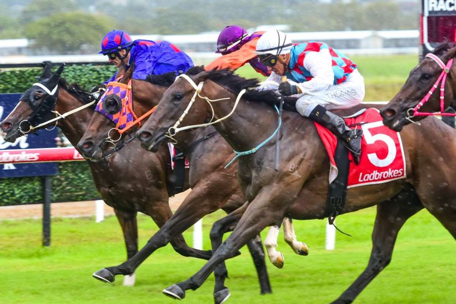 Filly Lands Don’t Argue Win in the Wet