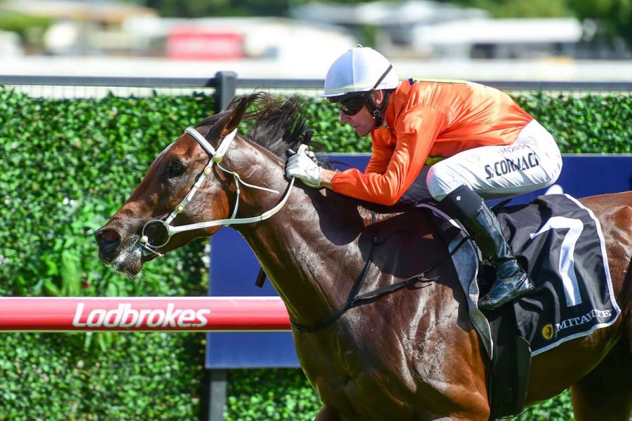 Punt On The Weather Pays Off For Fred 