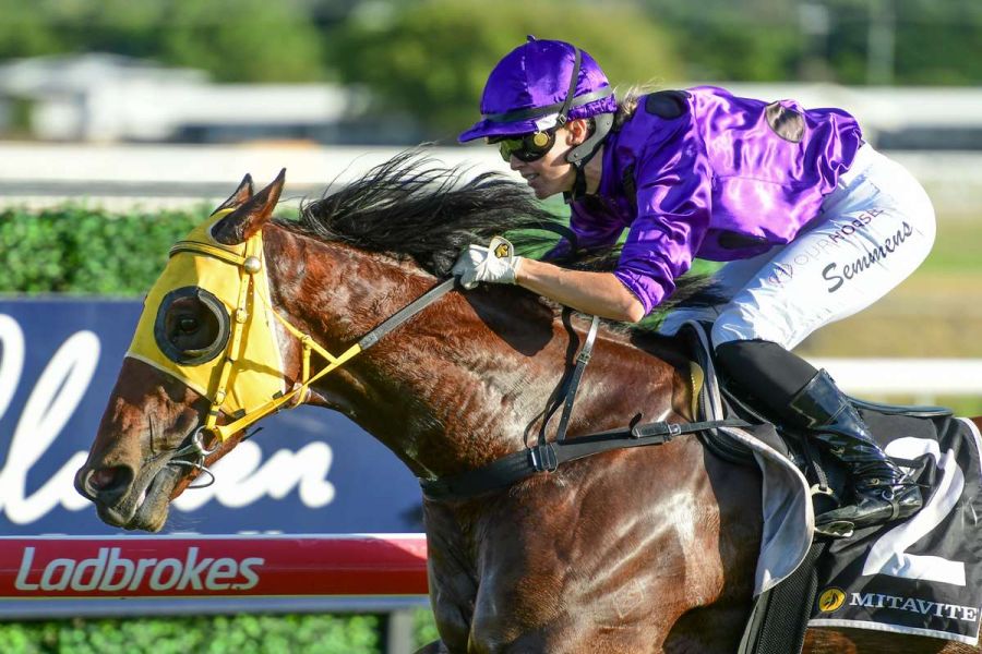 Roweiner Stakes his Claim as Cluden’s 1000m King