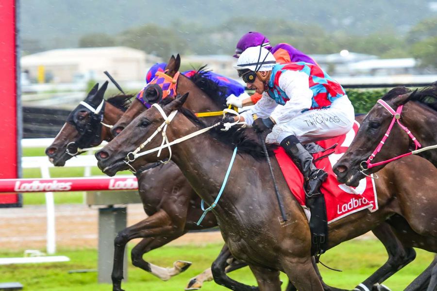Tough Local Filly Takes on the Big Guns in Rich Northern Jewel